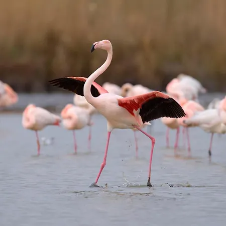 Lägenhet Isle Catherine-4 By Interhome *